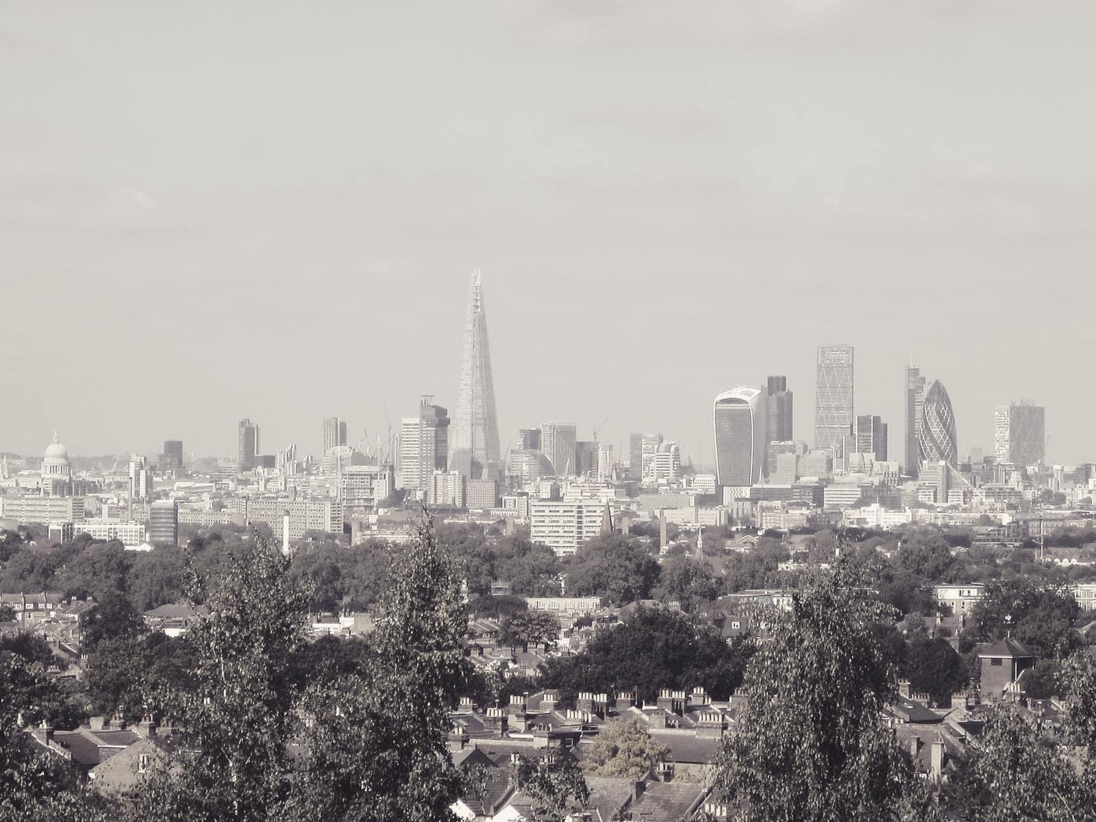 Towers of the City of London on the horizon beyond trees
