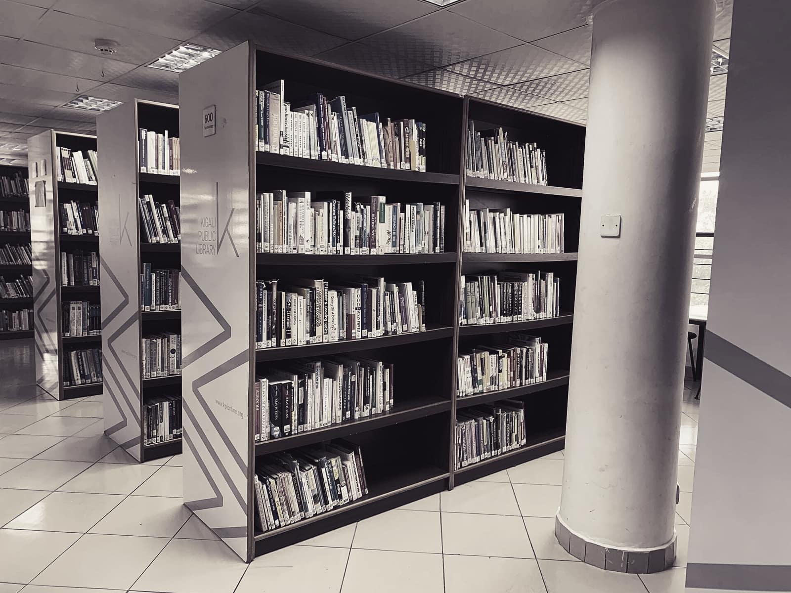 Tall library shelves filled with books
