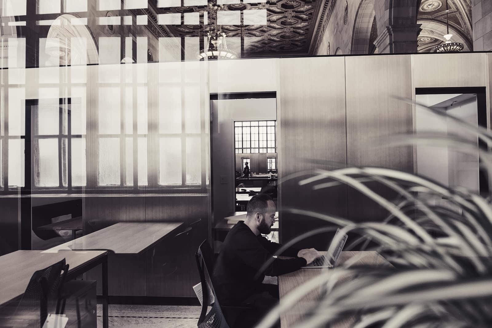 An open-plan office with desks and plants
